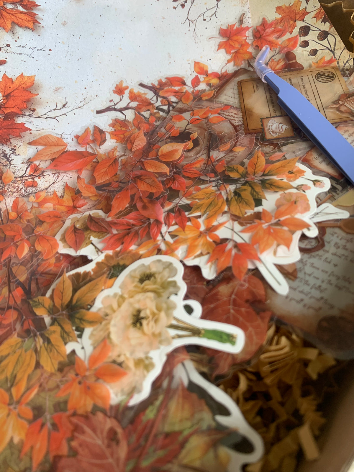 Autumn Whispers