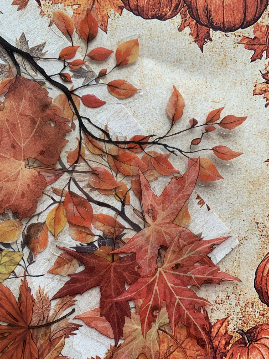 Autumn Whispers